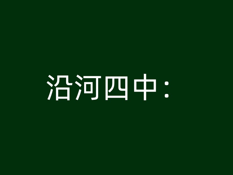 沿河四中：