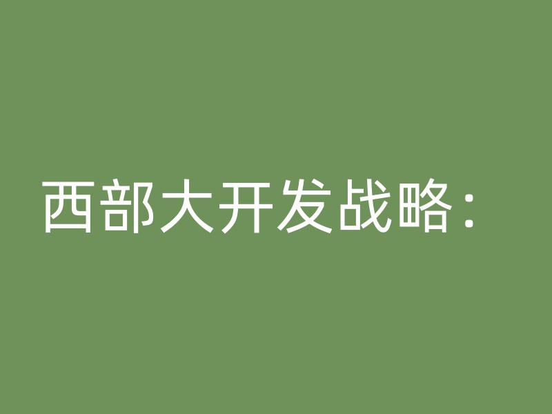 西部大开发战略：