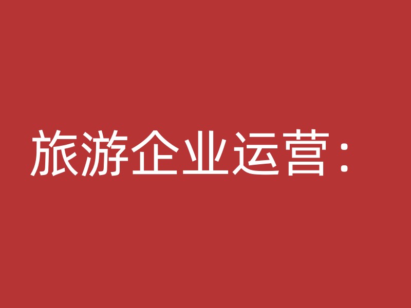 旅游企业运营：