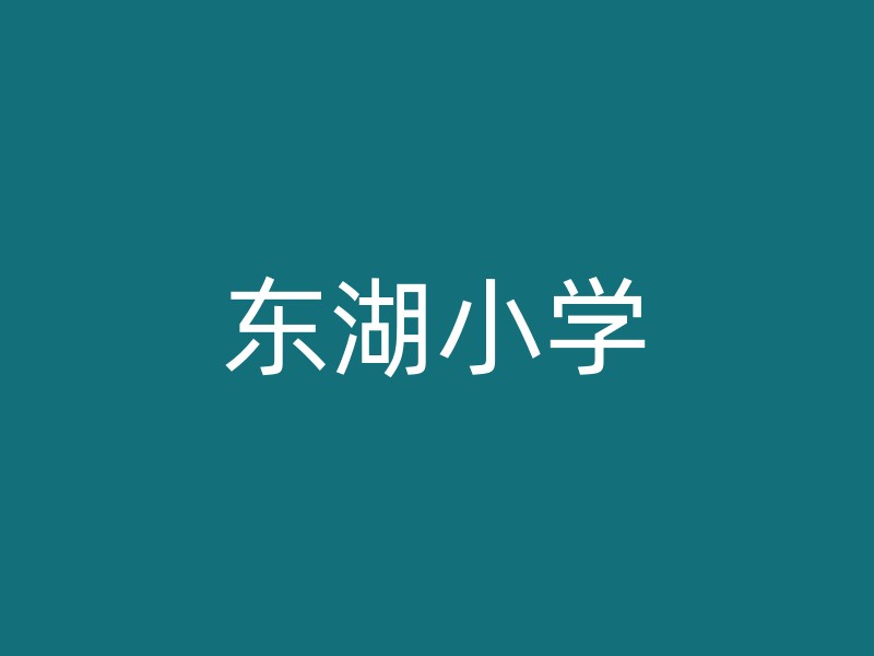 东湖小学