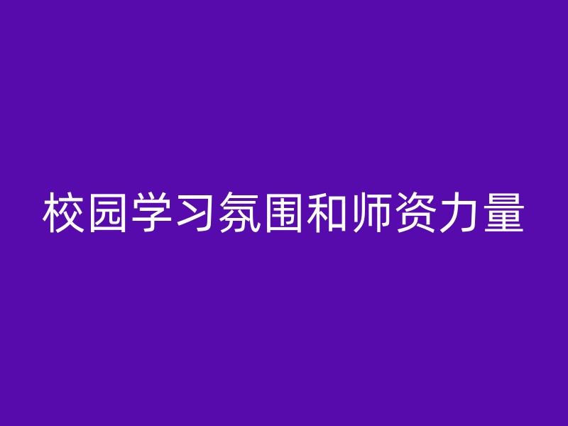 校园学习氛围和师资力量