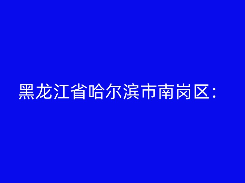 黑龙江省哈尔滨市南岗区：