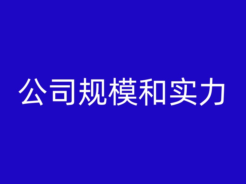 公司规模和实力