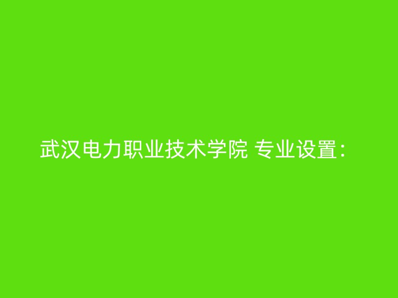 武汉电力职业技术学院 专业设置：