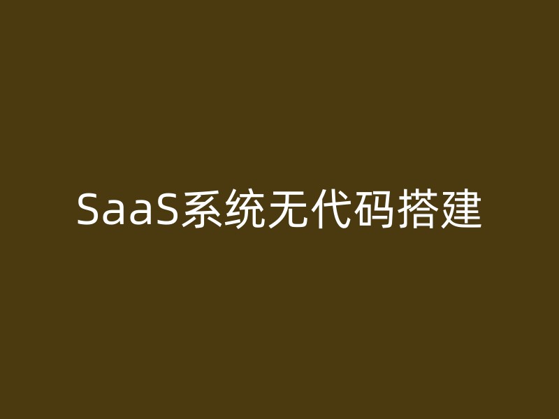 SaaS系统无代码搭建