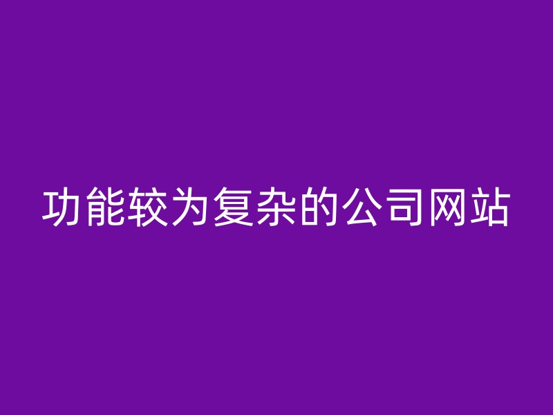 功能较为复杂的公司网站