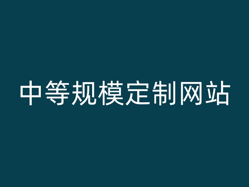 中等规模定制网站