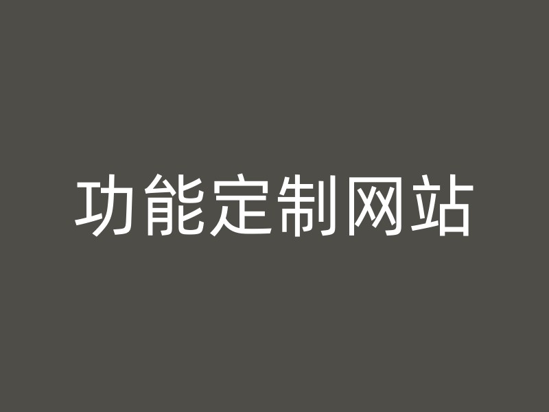 功能定制网站