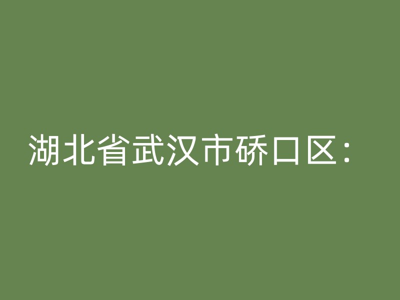 湖北省武汉市硚口区：