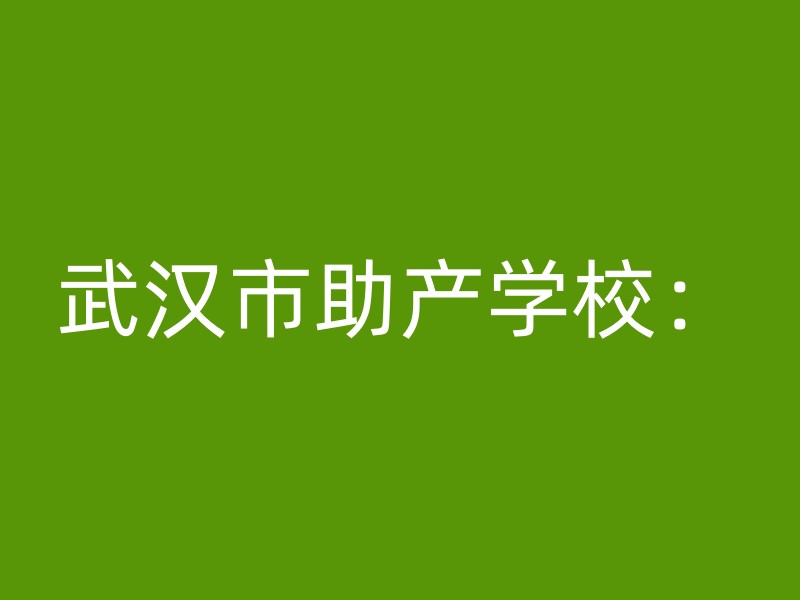 武汉市助产学校：