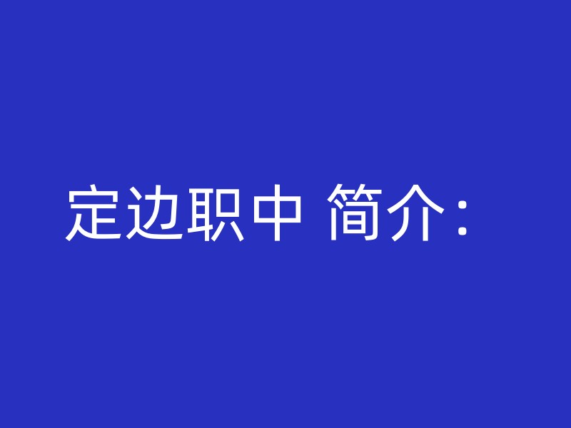 定边职中 简介：