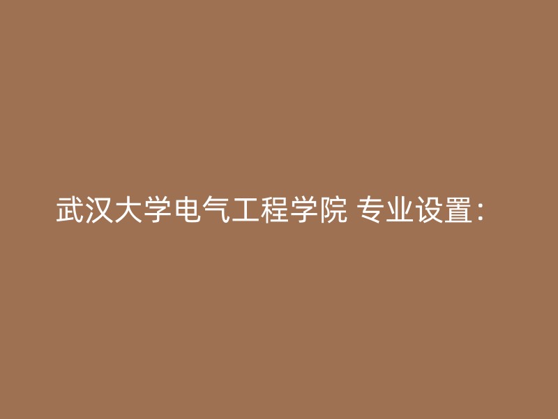 武汉大学电气工程学院 专业设置：