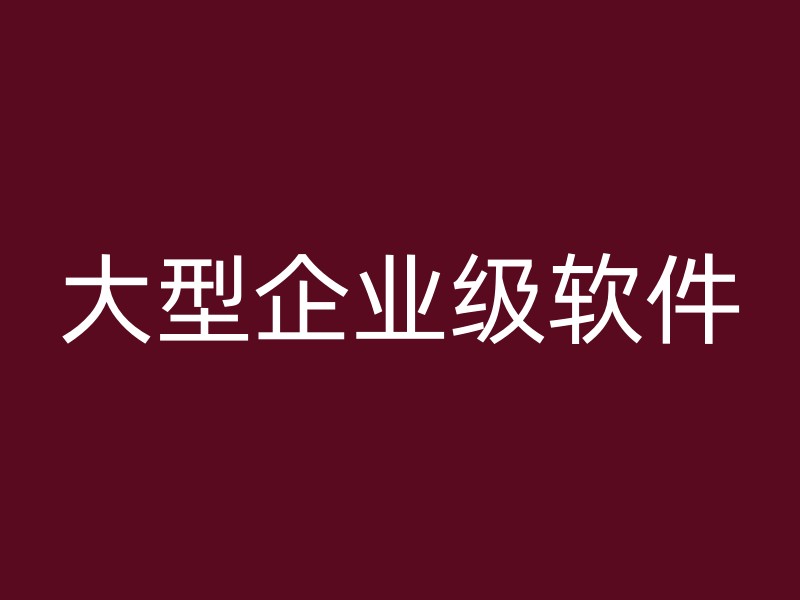 大型企业级软件