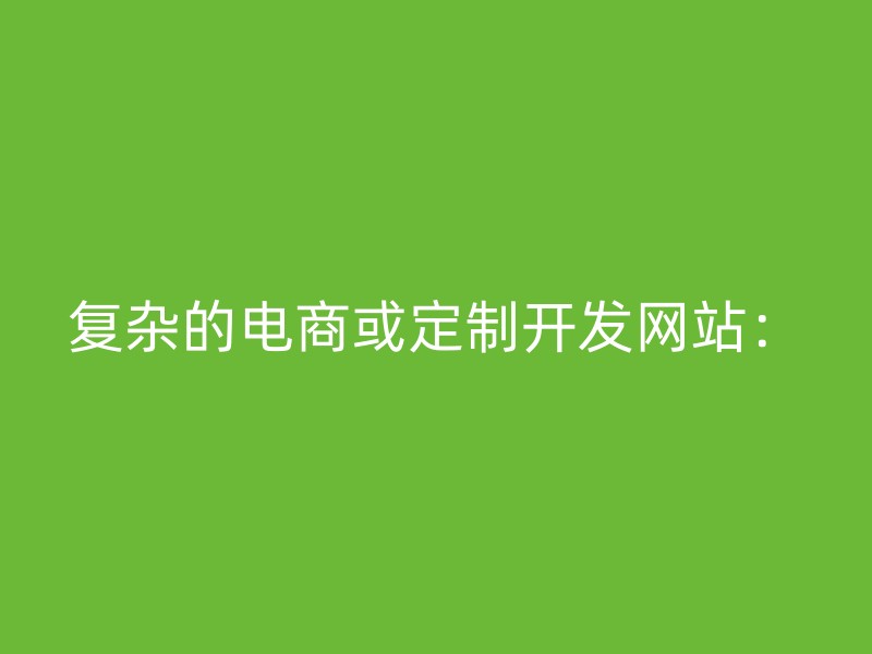 复杂的电商或定制开发网站：