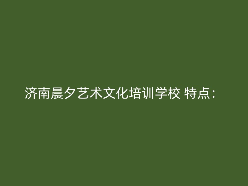 济南晨夕艺术文化培训学校 特点：