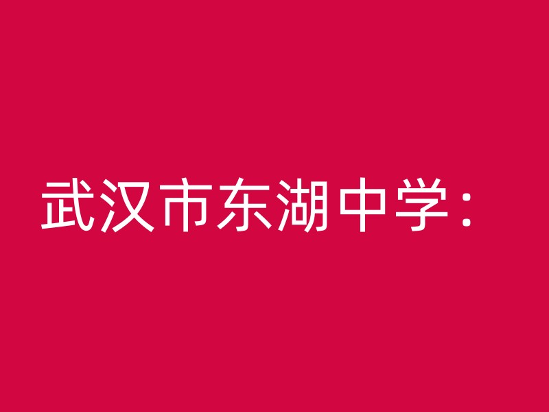 武汉市东湖中学：