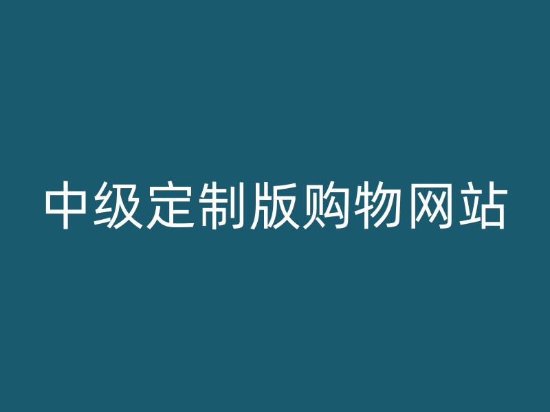 中级定制版购物网站