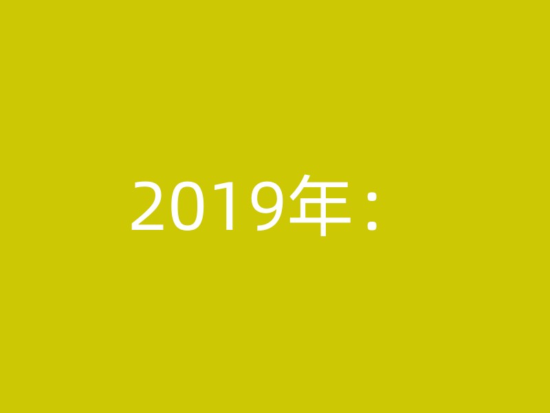 2019年：