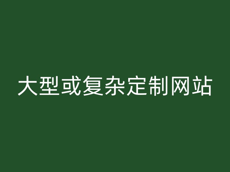 大型或复杂定制网站