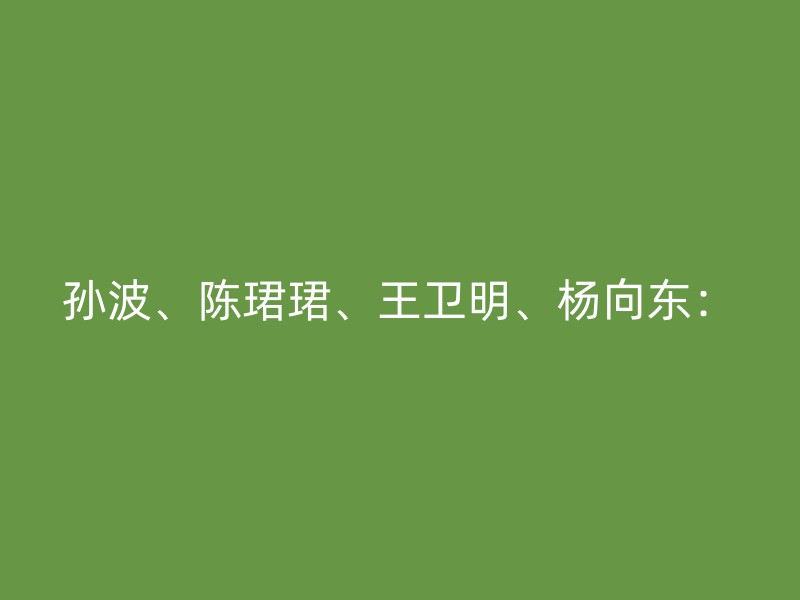 孙波、陈珺珺、王卫明、杨向东：