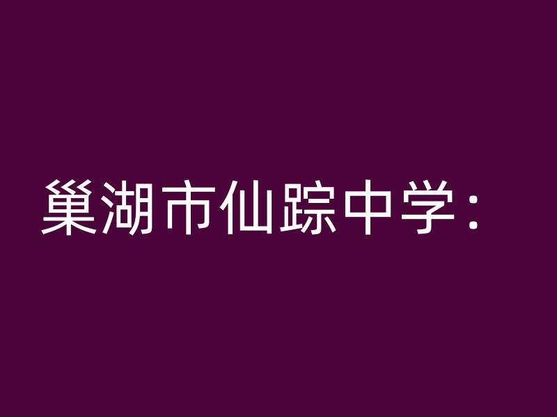 巢湖市仙踪中学：