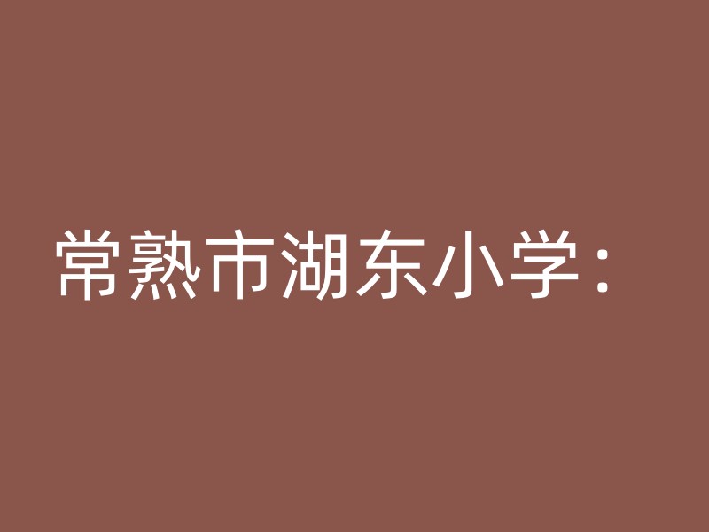 常熟市湖东小学：