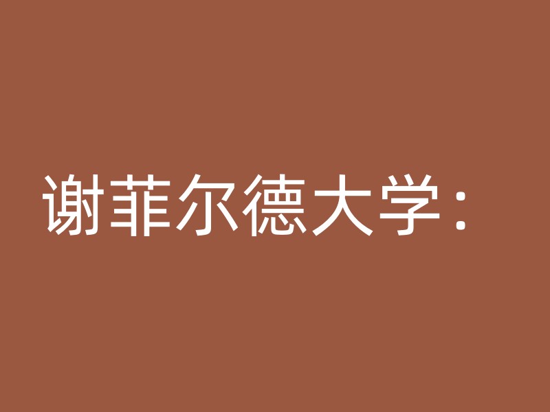 谢菲尔德大学：