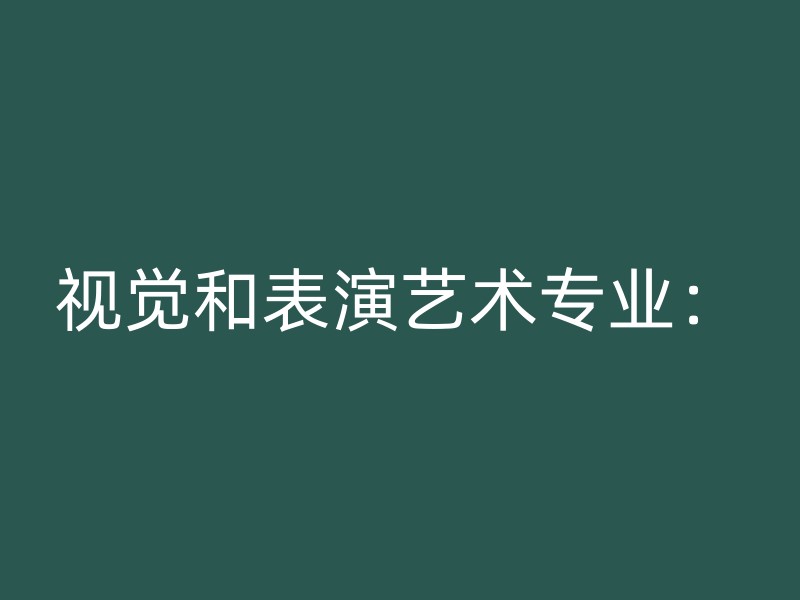 视觉和表演艺术专业：