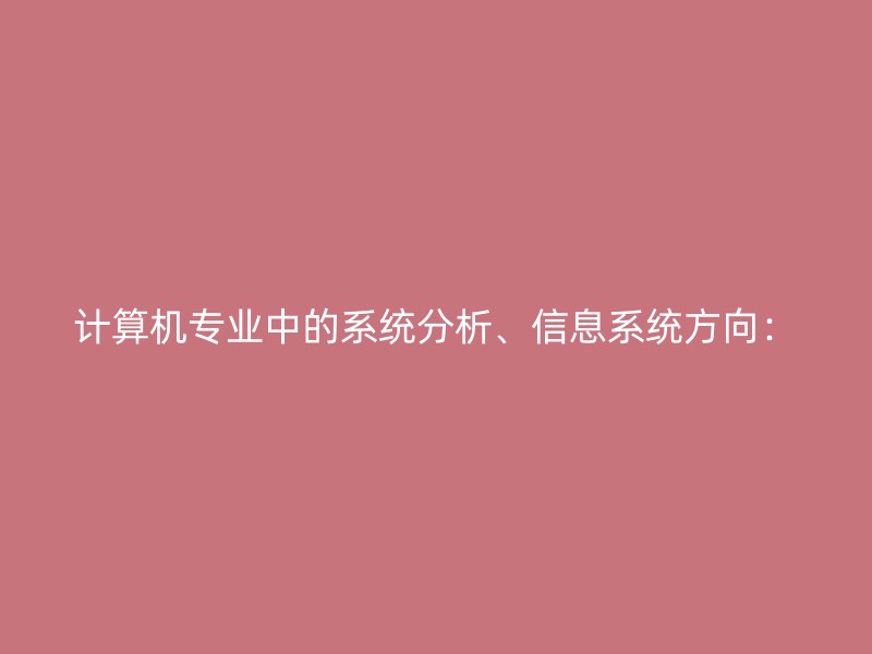 计算机专业中的系统分析、信息系统方向：