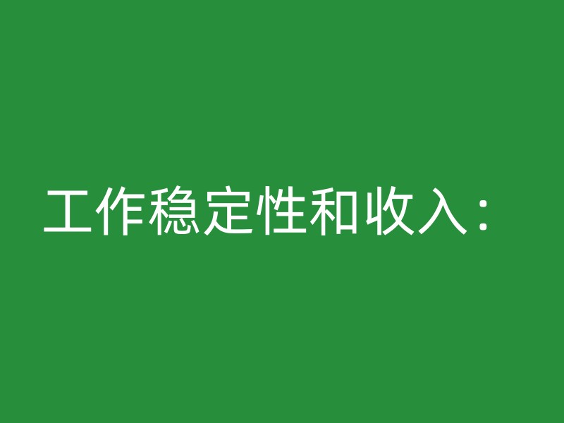 工作稳定性和收入：