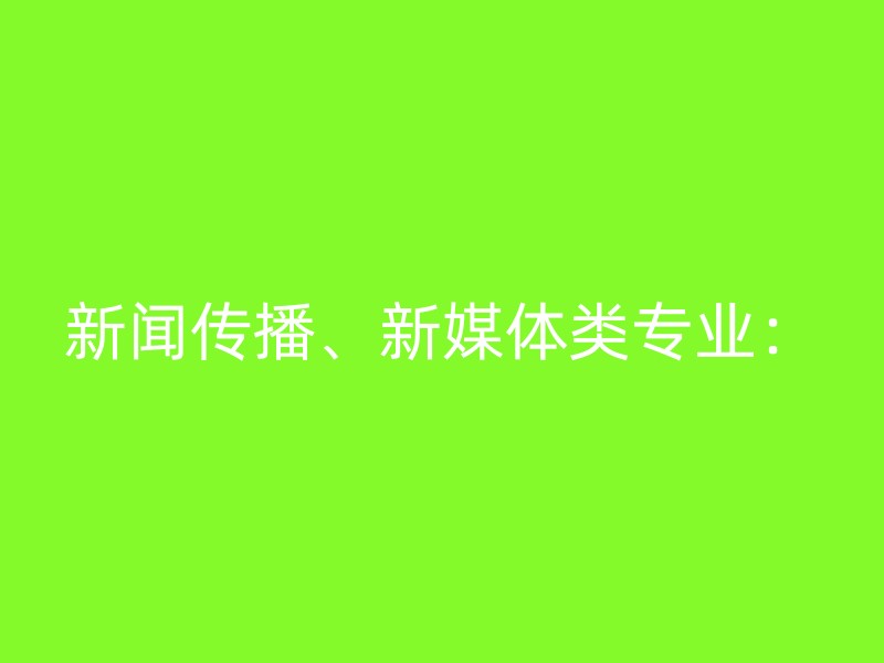 新闻传播、新媒体类专业：