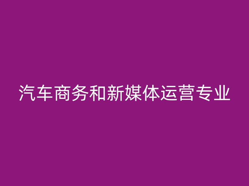 汽车商务和新媒体运营专业