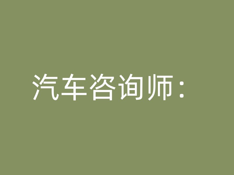 汽车咨询师：