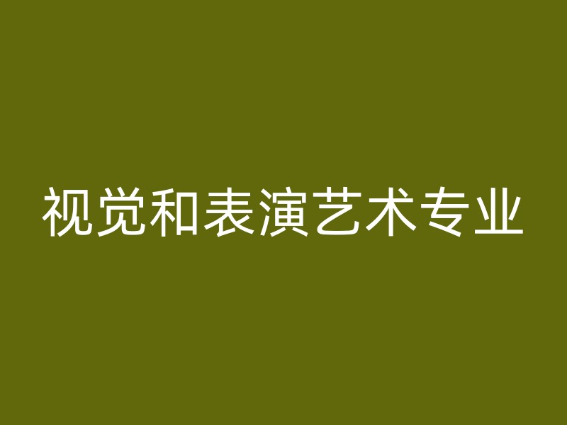 视觉和表演艺术专业