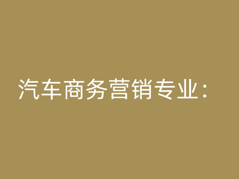 汽车商务营销专业：