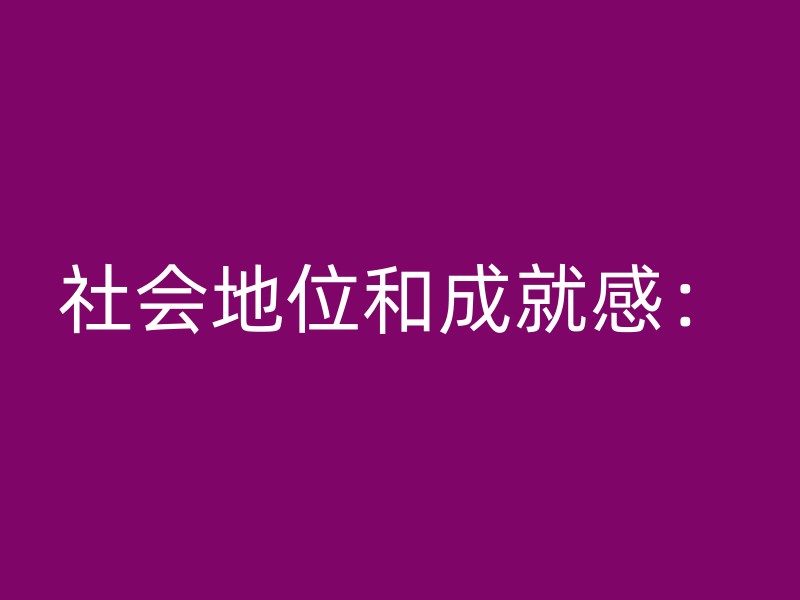 社会地位和成就感：