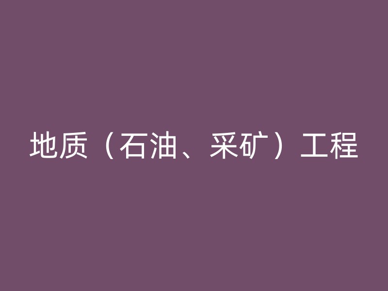 地质（石油、采矿）工程