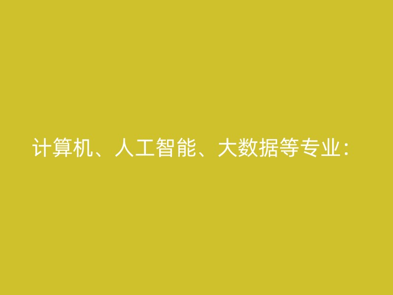 计算机、人工智能、大数据等专业：