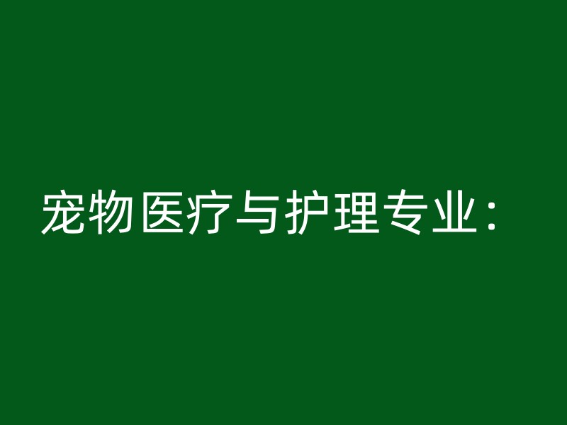 宠物医疗与护理专业：