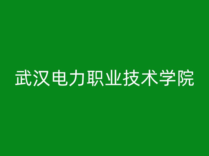 武汉电力职业技术学院