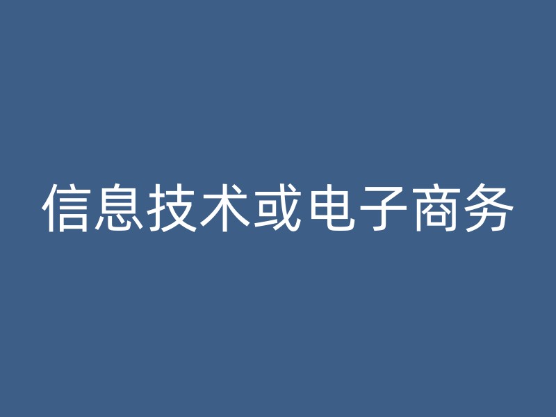 信息技术或电子商务