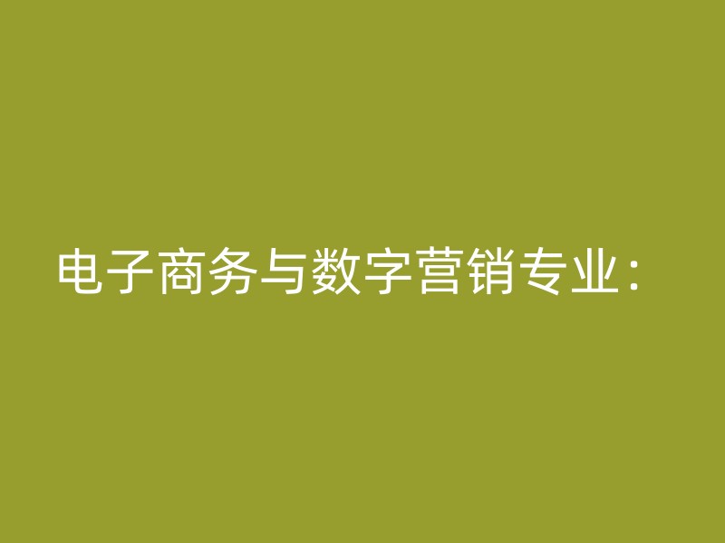 电子商务与数字营销专业：