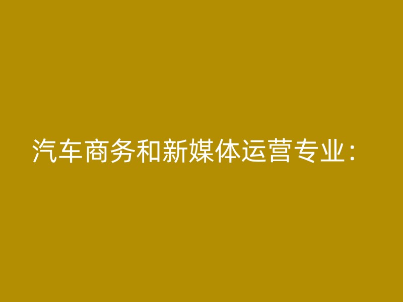 汽车商务和新媒体运营专业：