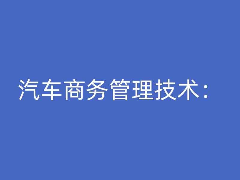 汽车商务管理技术：