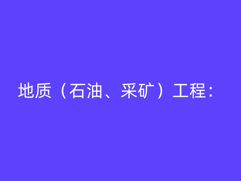 地质（石油、采矿）工程：