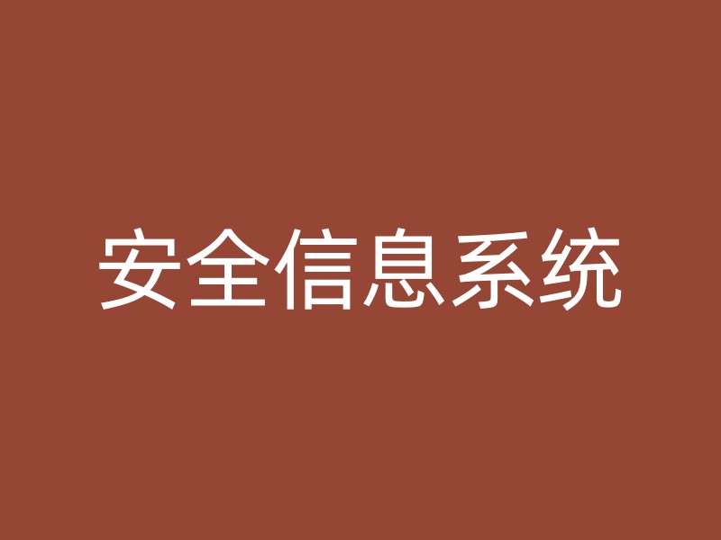 安全信息系统