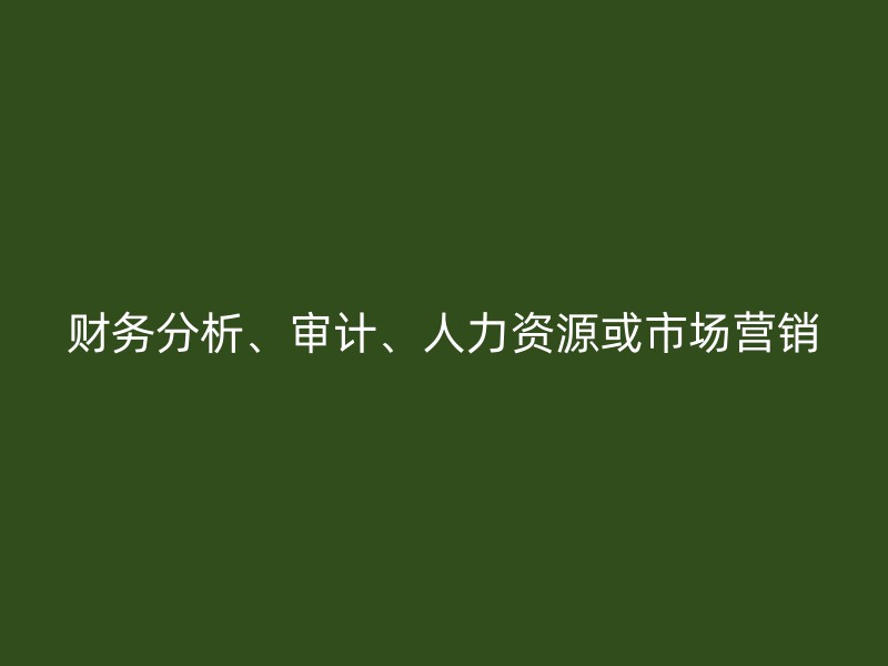 财务分析、审计、人力资源或市场营销