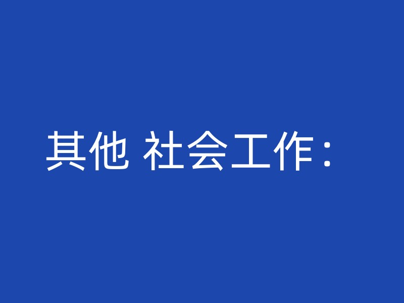 其他 社会工作：