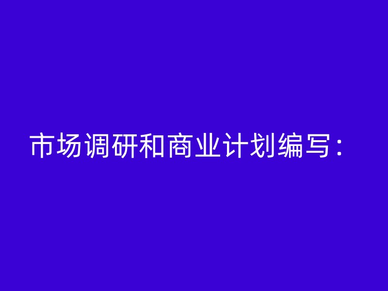 市场调研和商业计划编写：