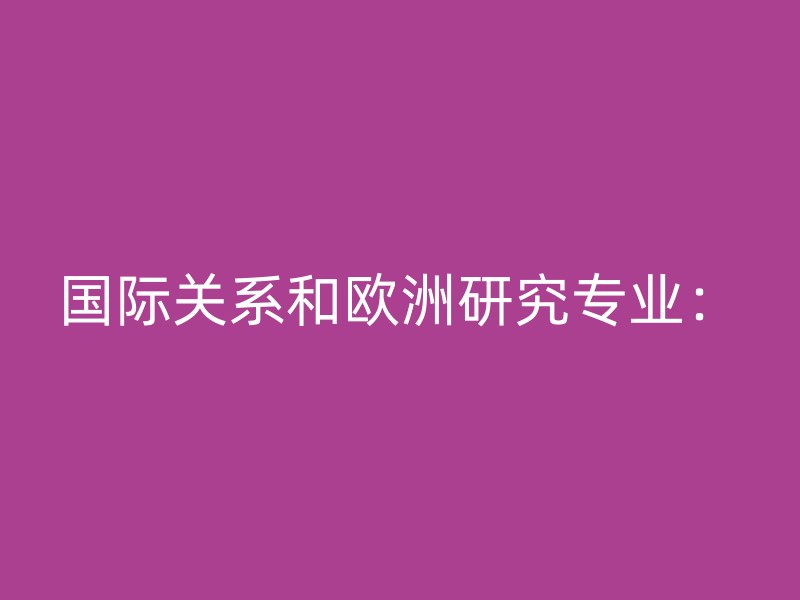 国际关系和欧洲研究专业：